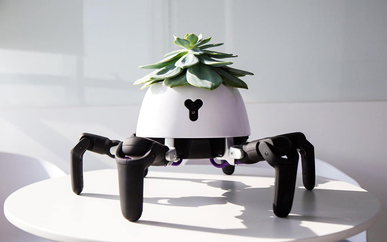 معرفی گلدان رباتی شرکت vincross