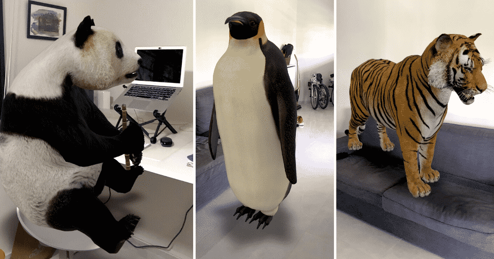 لیست حیوانات واقعیت مجازی سه بعدی گوگل